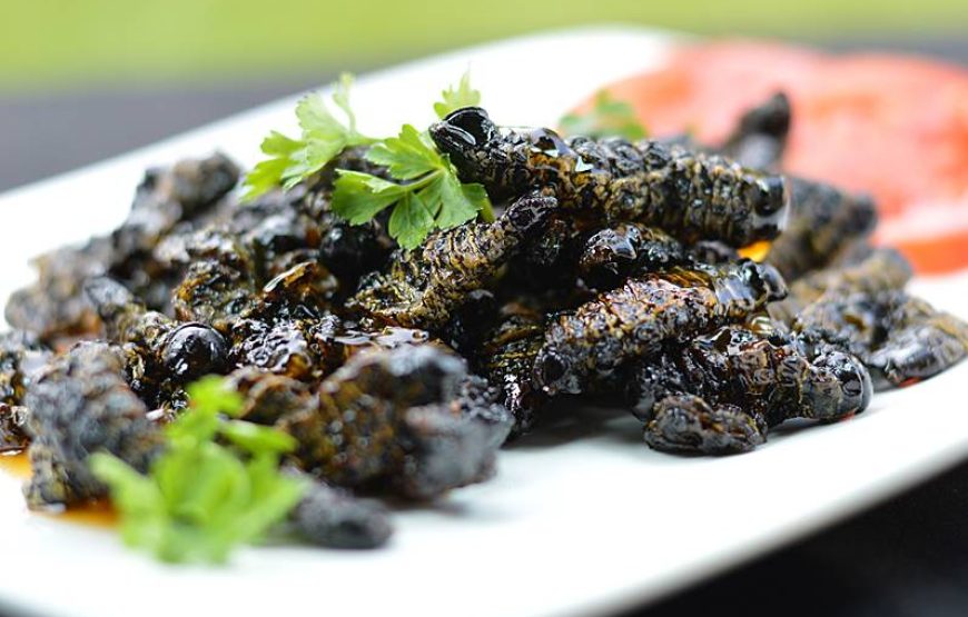 Taste of Home: Zimbabwean Cuisine & Networking Saturday Lunch – Mamelodi | Sat 9 May